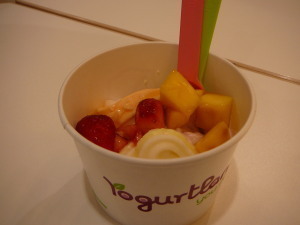 2011.02.26.01yogurtland.jpg
