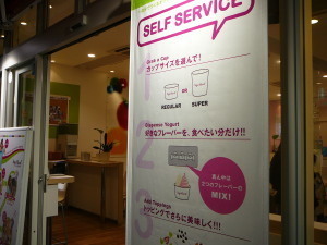 2011.02.26.04yogurtland.jpg