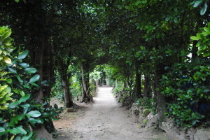 2011.03.01.01bise.jpg