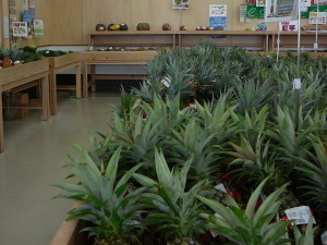 2011.06.27.01ja.jpg