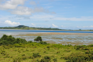 2011.06.30.01iriomote.jpg