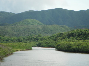 2011.06.30.02iriomote.jpg