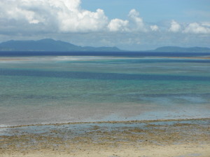 2011.06.30.03iriomote.jpg