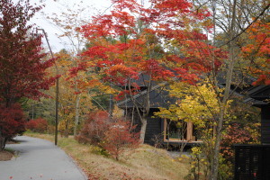 2011.10.13.02karuizawa.jpg