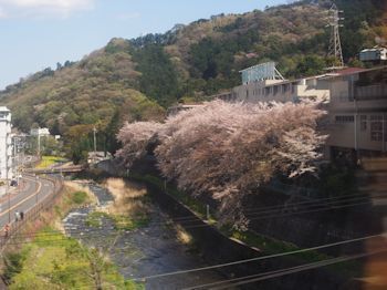 2014.04.07.02so-net.jpg