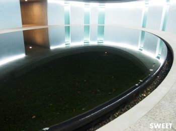 2015.12.14.04so-net.jpg