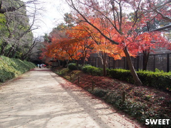 2015.12.18.02so-net.jpg