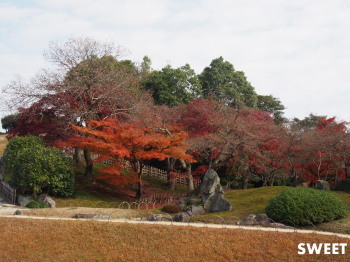 2015.12.18.04so-net.jpg