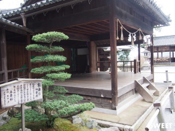 2015.12.28.02so-net.jpg