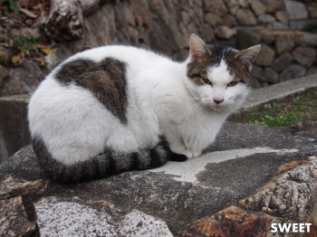 2015.12.28.04so-net.jpg