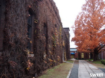 2015.12.31.06so-net.jpg