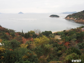 2016.01.30.06so-net.jpg