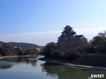 2016.03.11.01so-net.jpg