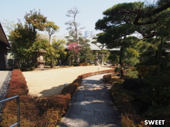 2016.03.22.03so-net.jpg