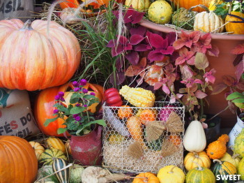 2016.10.24.02so-net.jpg