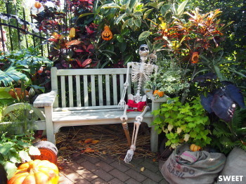 2016.10.24.04so-net.jpg