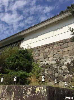 2016.12.01.01so-net.jpg