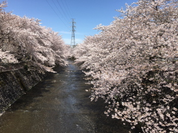 2017.04.18.01so-net.jpg