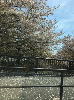 2017.04.18.07so-net.jpg