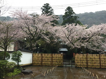 2017.04.22.05so-net.jpg