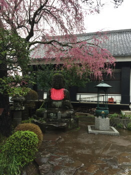 2017.04.22.06so-net.jpg