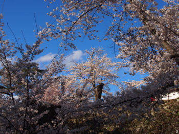 2017.04.23.04so-net.jpg