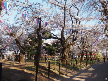 2017.04.23.07so-net.jpg