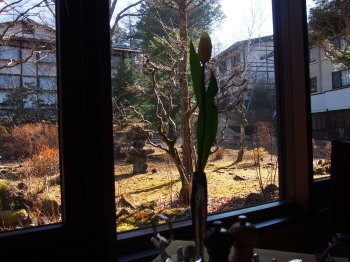 2018.04.07.07so-net.jpg