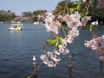 2018.04.16.01so-net.jpg