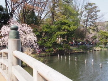 2018.04.16.02so-net.jpg