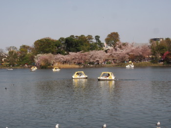 2018.04.16.03so-net.jpg
