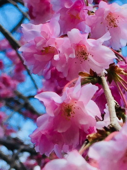 2018.04.24.06so-net.jpg