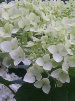 2018.06.28.05so-net.jpg