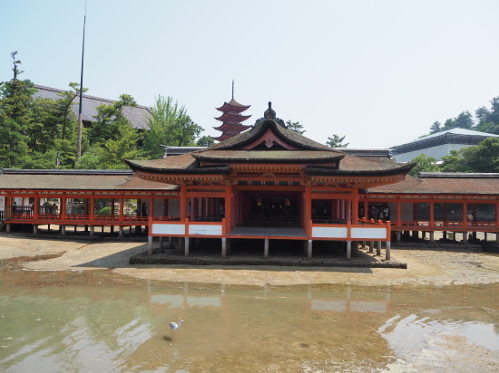 2018.08.10.08so-net.jpg