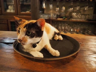2018.11.10.08so-net.jpg