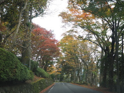 2018.11.13.03so-net.jpg