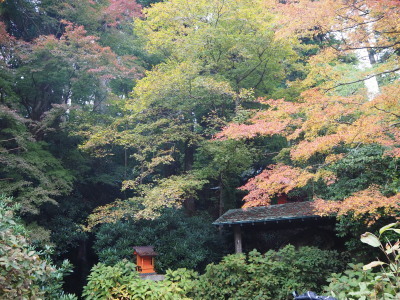 2018.11.13.07so-net.jpg