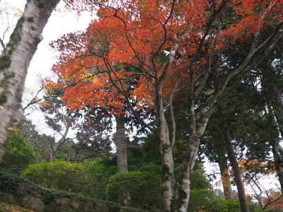 2018.11.13.11so-net.jpg