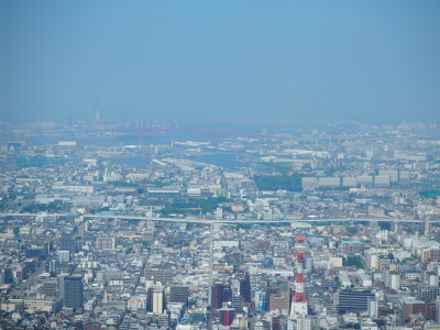 2018.11.29.05so-net.jpg