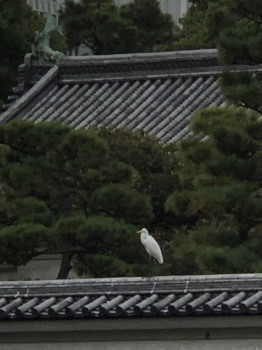 2018.12.11.04so-net.jpg