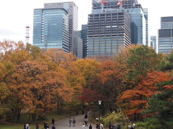 2018.12.11.07so-net.jpg