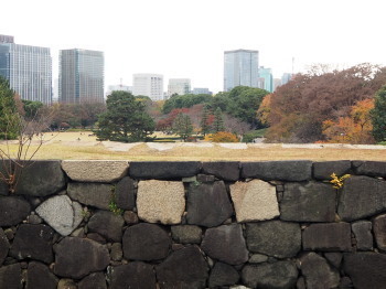 2018.12.11.08so-net.jpg