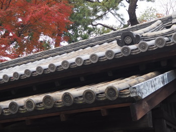 2018.12.11.16so-net.jpg