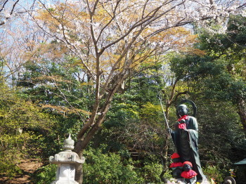 2019.03.25.02so-net.jpg