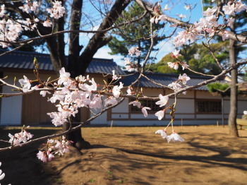 2019.03.25.04so-net.jpg