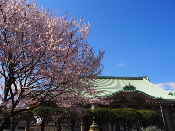 2019.03.25.05so-net.jpg