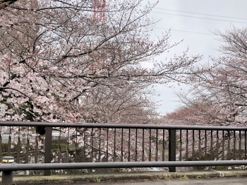 2019.04.02.04so-net.jpg