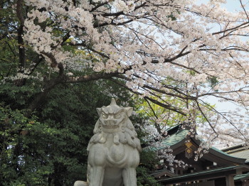 2019.04.08.02so-net.jpg