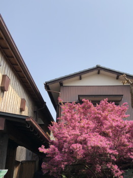 2019.04.08.06so-net.jpg