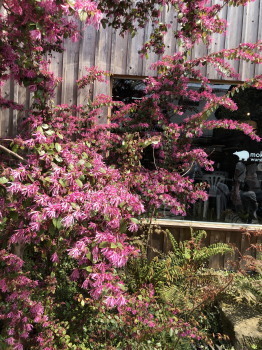 2019.04.08.07so-net.jpg